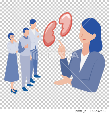 插圖描繪了醫務人員向人們講解腎臟的工作原理,而其他人則在認真聆聽。 插圖描繪了醫務人員向人們講解腎臟的工作原理,而其他人則在認真聆聽。 138232480