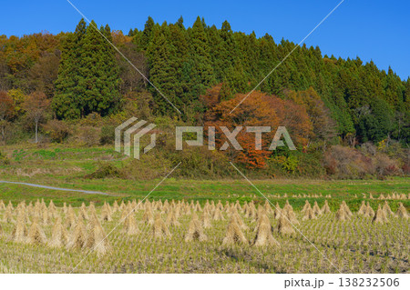 稲刈り後の田んぼに並ぶわらぼっち 日本の伝統的な田園風景 稲刈り後の田んぼに並ぶわらぼっち 日本の伝統的な田園風景 138232506