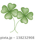 Clover leaf  138232908