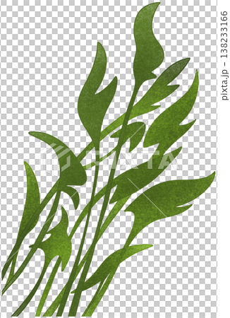leaf fresh green leaf fresh green 138233166