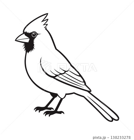 cardinal mascot logo design vector template cardinal mascot logo design vector template 138233278
