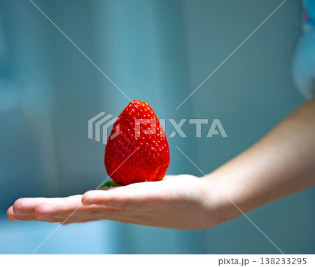 A little girl holding ripe strawberry in hands. Harvest of fresh strawberry 138233295