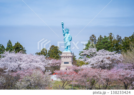 「青森県」いちょう公園の桜満開の風景 おいらせ町 「青森県」いちょう公園の桜満開の風景 おいらせ町 138233424
