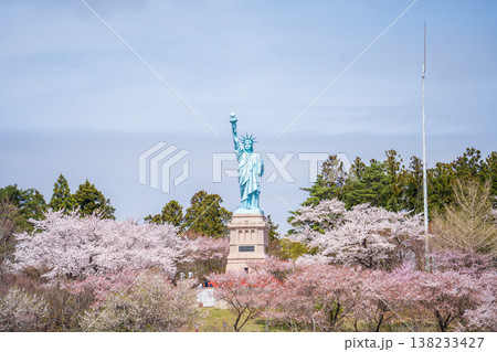 「青森県」いちょう公園の桜満開の風景 おいらせ町 「青森県」いちょう公園の桜満開の風景 おいらせ町 138233427