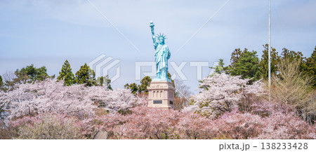 「青森県」いちょう公園の桜満開の風景 おいらせ町 「青森県」いちょう公園の桜満開の風景 おいらせ町 138233428