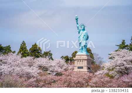 「青森県」いちょう公園の桜満開の風景　おいらせ町 138233431