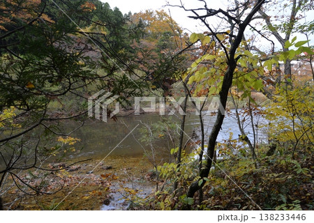 晩秋の薬研渓流(青森県むつ市) 晩秋の薬研渓流(青森県むつ市) 138233446