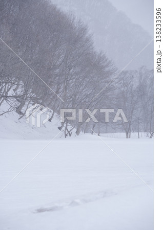 降雪で白く霞む雪原と立ち並ぶ木々の風景 138233596