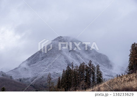 霧に包まれる冬枯れの山頂と杉林の風景 138233629