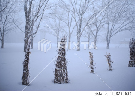 雪囲いと降雪の公園風景、冬景観の広報に使えるコピースペース素材 雪囲いと降雪の公園風景、冬景観の広報に使えるコピースペース素材 138233634