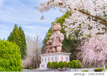「青森県」春・ 桜満開の八戸公園の風景 八戸市 「青森県」春・ 桜満開の八戸公園の風景 八戸市 138233939