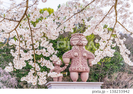 「青森県」春・ 桜満開の八戸公園の風景 八戸市 「青森県」春・ 桜満開の八戸公園の風景 八戸市 138233942
