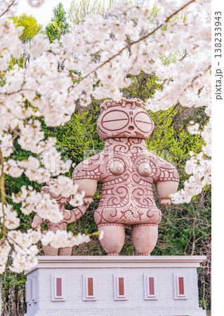 「青森県」春・ 桜満開の八戸公園の風景　八戸市 138233943