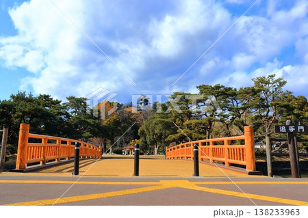 【高知県】外堀から見た冬の高知城(現存天守) 【高知県】外堀から見た冬の高知城(現存天守) 138233963