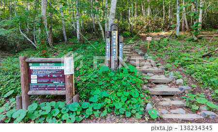 夏の岩菅山登山（岩菅山登山道入口：一の瀬） 138234345