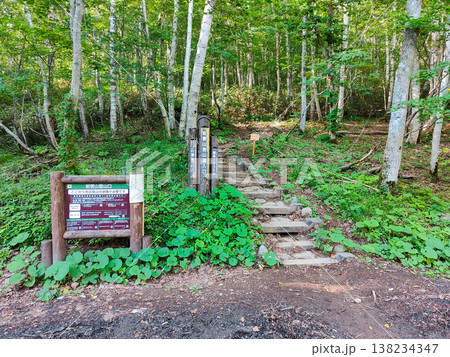 夏の岩菅山登山（岩菅山登山道入口：一の瀬） 138234347