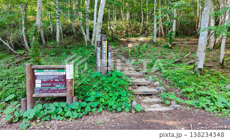 夏の岩菅山登山（岩菅山登山道入口：一の瀬） 138234348
