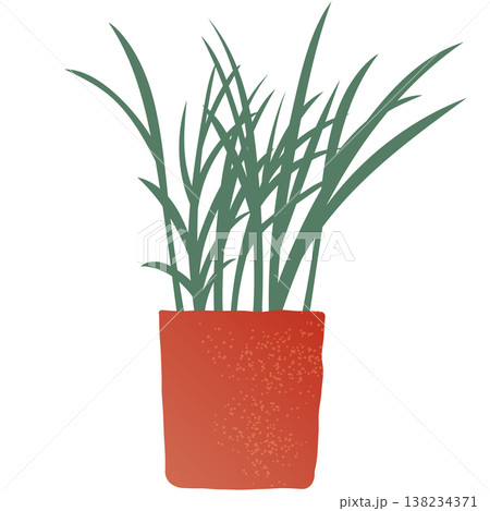 観葉植物のシンプルなイラスト　ベクター　グリーン　葉　ポット　白背景　切り抜き　アイコン　シンプル 138234371