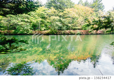 軽井沢　雲場池　リフレクション 138234417