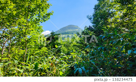 夏の岩菅山登山(アライタ沢~ノッキリ:岩菅山山頂を望む) 夏の岩菅山登山(アライタ沢~ノッキリ:岩菅山山頂を望む) 138234475