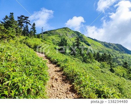 夏の岩菅山登山（ノッキリ～岩菅山山頂） 138234480
