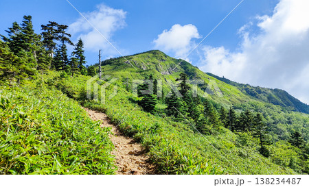 夏の岩菅山登山（ノッキリ～岩菅山山頂） 138234487