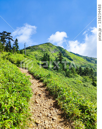 夏の岩菅山登山(ノッキリ~岩菅山山頂) 夏の岩菅山登山(ノッキリ~岩菅山山頂) 138234488