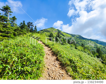 夏の岩菅山登山(ノッキリ~岩菅山山頂) 夏の岩菅山登山(ノッキリ~岩菅山山頂) 138234490