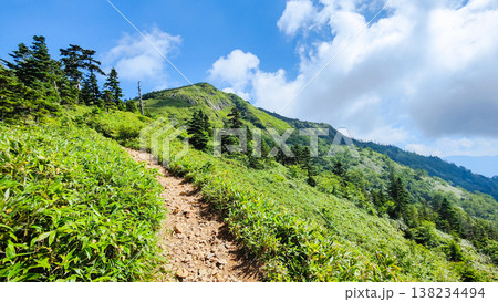 夏の岩菅山登山(ノッキリ~岩菅山山頂) 夏の岩菅山登山(ノッキリ~岩菅山山頂) 138234494