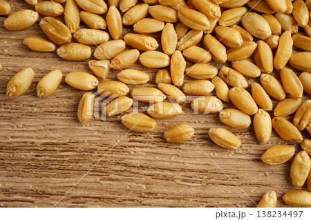 Wheat and grains ears agricultural, organic farm concept. 138234497