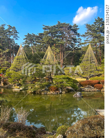雪吊りをする輪王寺の庭園 雪吊りをする輪王寺の庭園 138234527