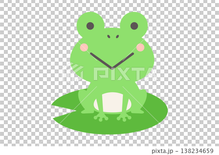 葉っぱに乗ったかわいいカエルのベクターイラスト 葉っぱに乗ったかわいいカエルのベクターイラスト 138234659