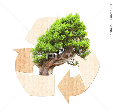 New life. Arrows recycle symbol and tree. Reuse, renewable resources. Eco-friendly, Ecology, go green, Green Energy, environmental, zero waste, responsible consumption concept. Isolated on white New life. Arrows recycle symbol and tree. Reuse, renewable resources. Eco-friendly, Ecology, go green, Green Energy, environmental, zero waste, responsible consumption concept. Isolated on white 138235283