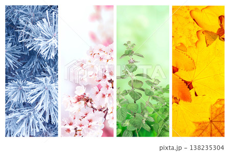 Set of nature banners depicting natural world. Four season of year. Each one features scene of nature, from snow of winter to vibrant leaves of fall. Perfect  for showcasing of changing seasons 138235304
