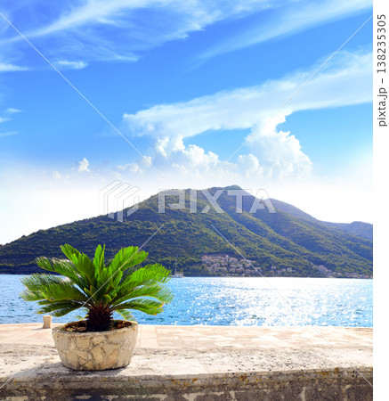 Picturesque view of Adriatic sea and tropical plant in a stone pot, Perast, Montenegro. Beautiful seascape with mountains. Topic of summer vacation, travel, cruises, tours Picturesque view of Adriatic sea and tropical plant in a stone pot, Perast, Montenegro. Beautiful seascape with mountains. Topic of summer vacation, travel, cruises, tours 138235305