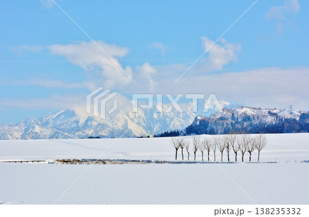 雪原のハサ木・越後三山冬景色 雪原のハサ木・越後三山冬景色 138235332