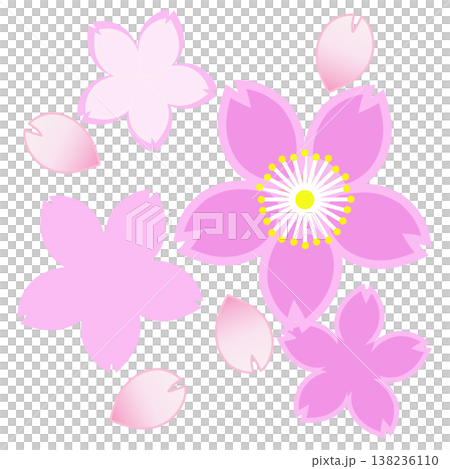 Cherry blossom motif illustration 138236110