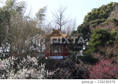 大師公園 瀋秀園 大師公園 瀋秀園 138236378