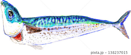 屋久島 首折れサバのイラスト 138237015