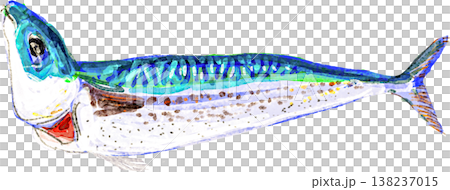 屋久島 首折れサバのイラスト 138237015