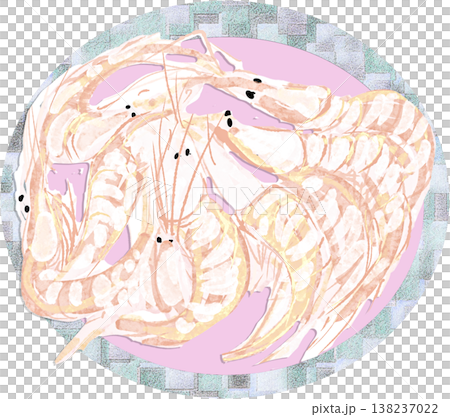 白蝦插圖 白蝦插圖 138237022
