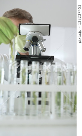 Man scientist wearing green protective gloves and mask is looking at green plant in test tube near a microscope, petri dishes during a laboratory research. Medicine, health care and science concept 138237453