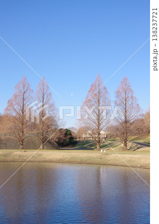 真昼の月と公園 138237721