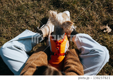 High angle POV shot of a woman sitting on dry grass in a sunny park, holding her small yorkshire terrier's head in her hands. Cozy autumn or early spring atmosphere, emotional connection with a pet. 138237821