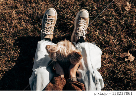 High angle POV shot of a woman sitting on dry grass in a sunny park, holding her small yorkshire terrier's head in her hands. Cozy autumn or early spring atmosphere, emotional connection with a pet. High angle POV shot of a woman sitting on dry grass in a sunny park, holding her small yorkshire terrier's head in her hands. Cozy autumn or early spring atmosphere, emotional connection with a pet. 138237861