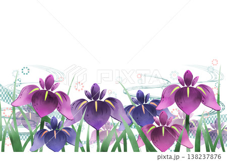 菖蒲の花1 菖蒲の花1 138237876