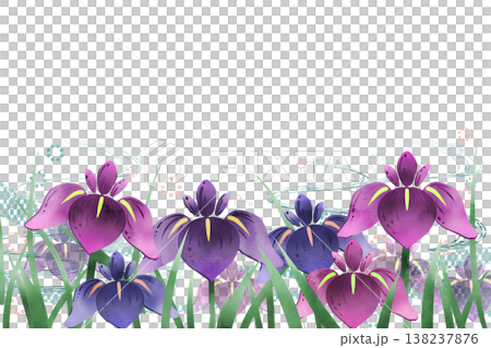 菖蒲の花1 菖蒲の花1 138237876