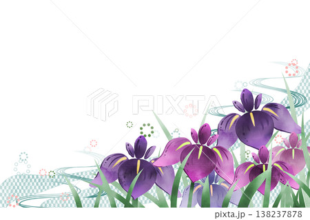 菖蒲の花3 138237878