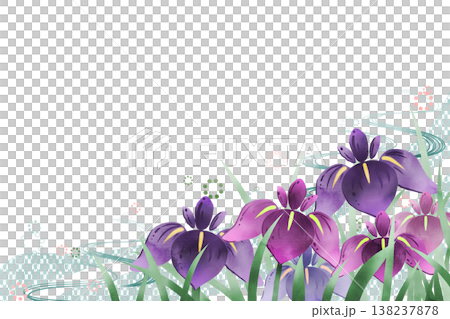 鳶尾花 3 138237878