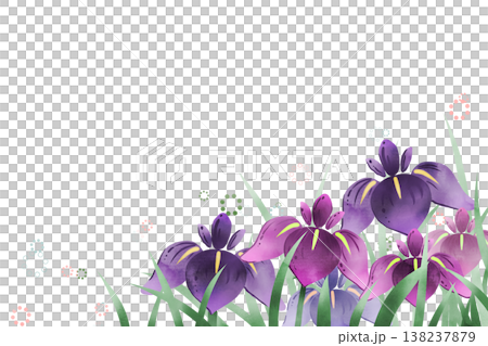 菖蒲の花4 138237879